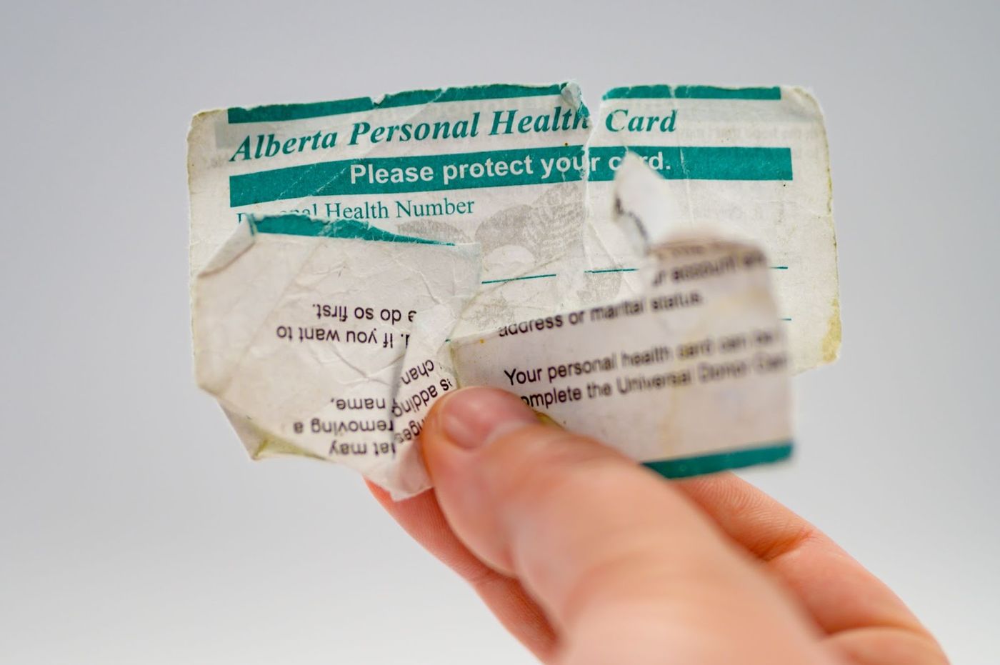 Alberta election: NDP promises 'modernized' health-care cards if elected |  Globalnews.ca