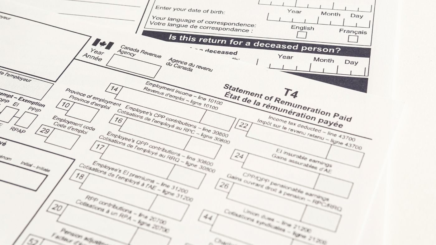 What Happens After You File Your Taxes? Ottawa Business Blog