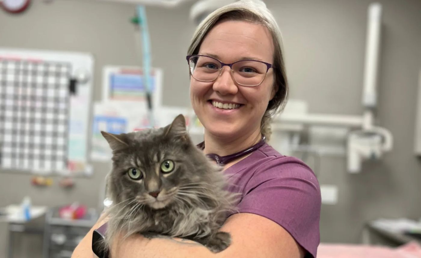 Veterinarian in Airdrie, Alberta | City Centre Animal Hospital