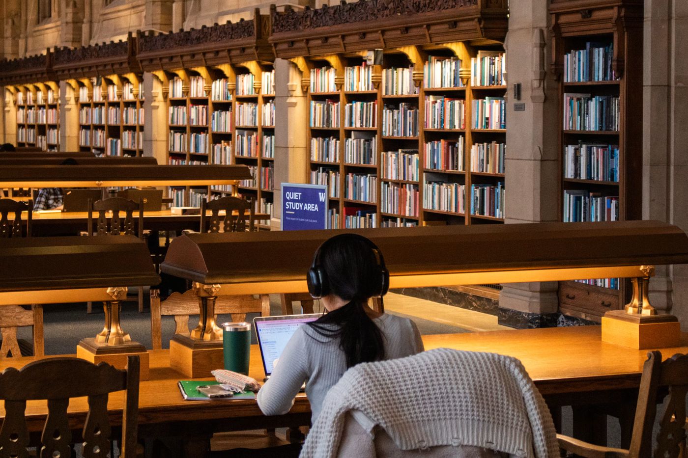 Student studies at a library with books, Free Photo on Unsplash