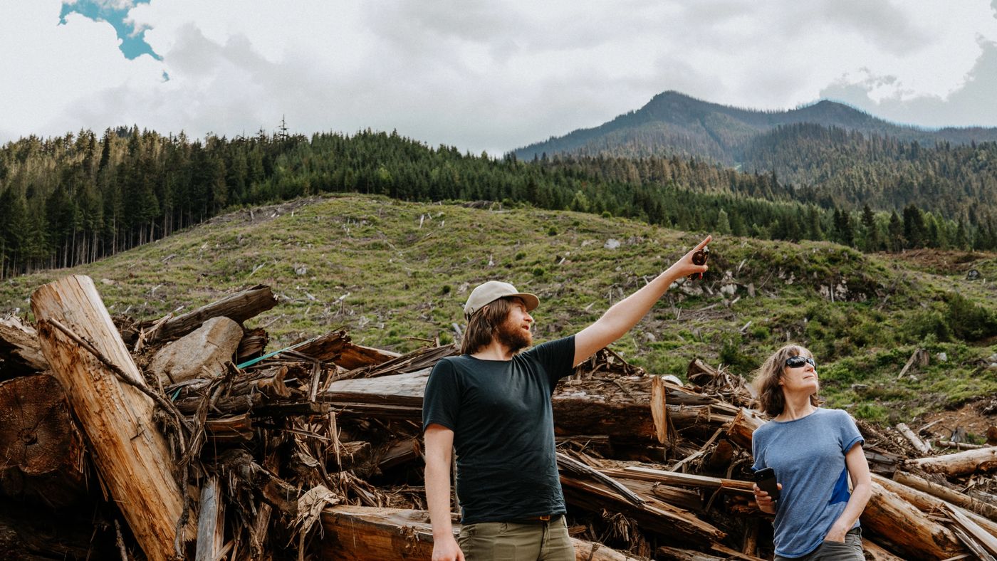 A “working forest” won't work, Wildsight