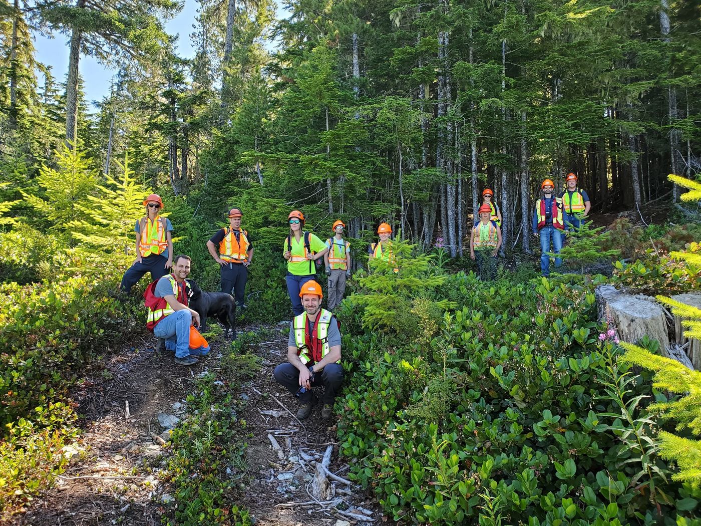 Mosaic Forest Management Named One of BC's Top Employers, Mosaic Forest  Management