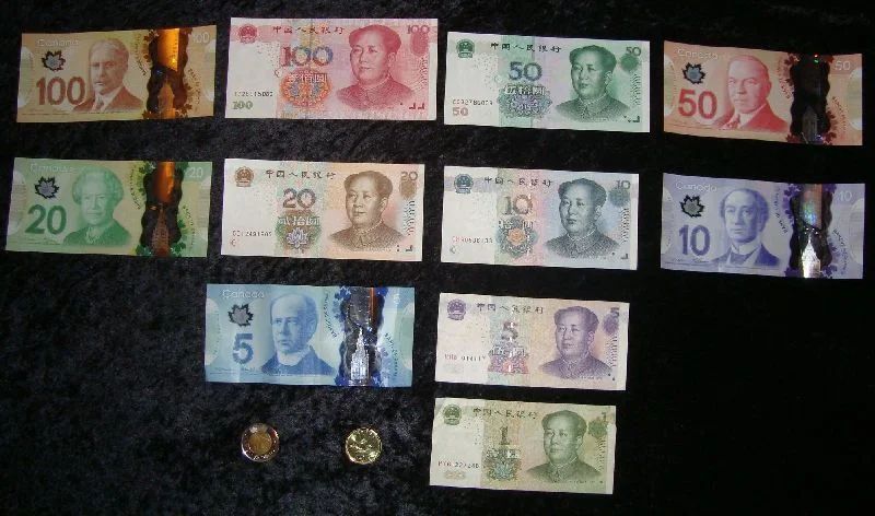 Paper or Polymer, Money in China and Canada, Ramona McKean