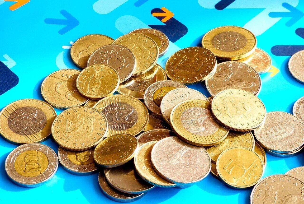 Unique symbols of Hungarian Forint coins, PHOTOS