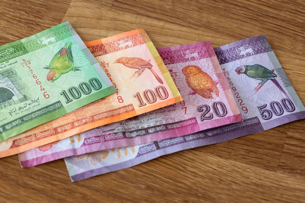 What You Need to Know About Currency in Sri Lanka