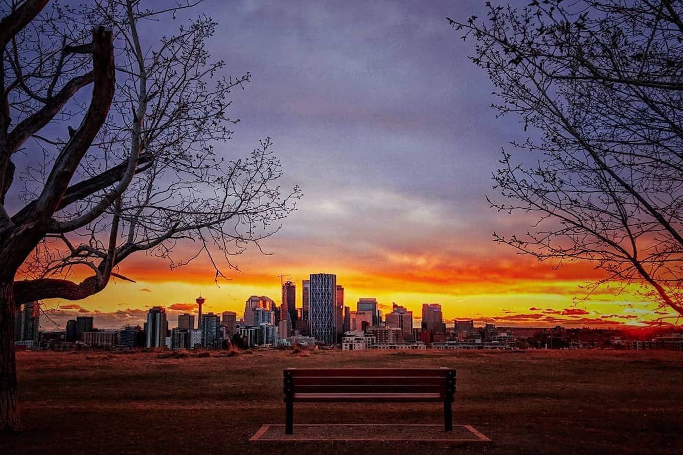 Guide: The 10 best viewpoints in Calgary, Curiocity