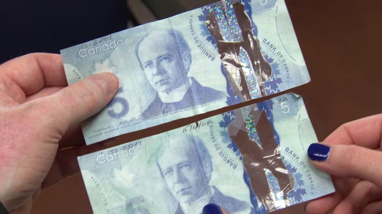 Counterfeiters perplexed by Canada's plastic money | CBC News