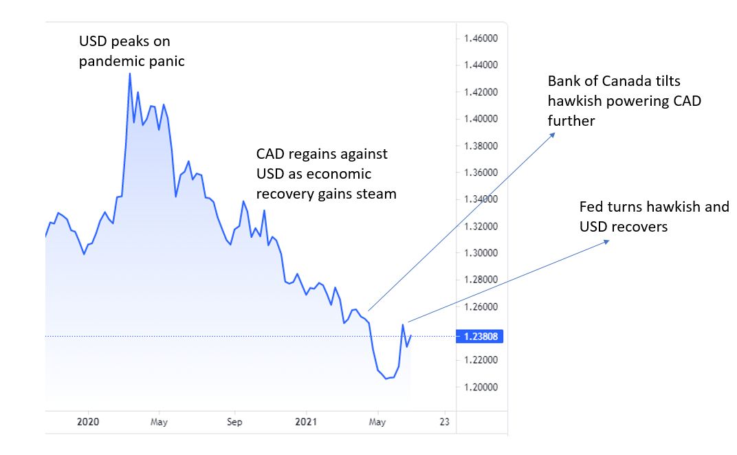Interchange Financial, Canadian and US Dollar Forecast and Forex ...