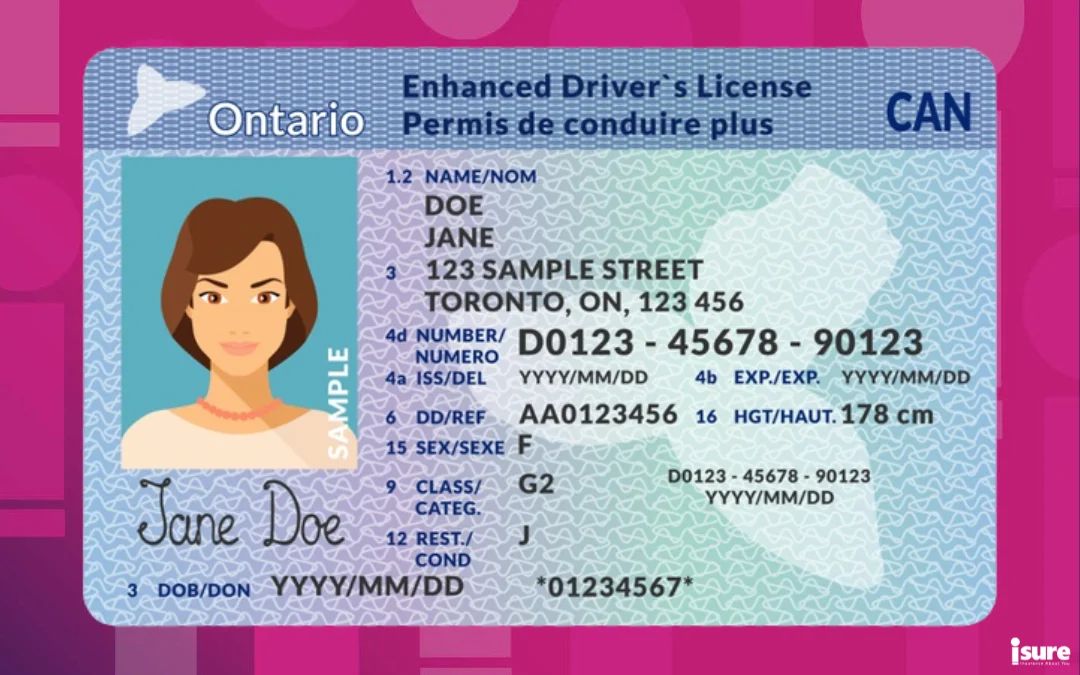 Permis de conduire de l'Ontario : Mettre à jour vos informations Blake