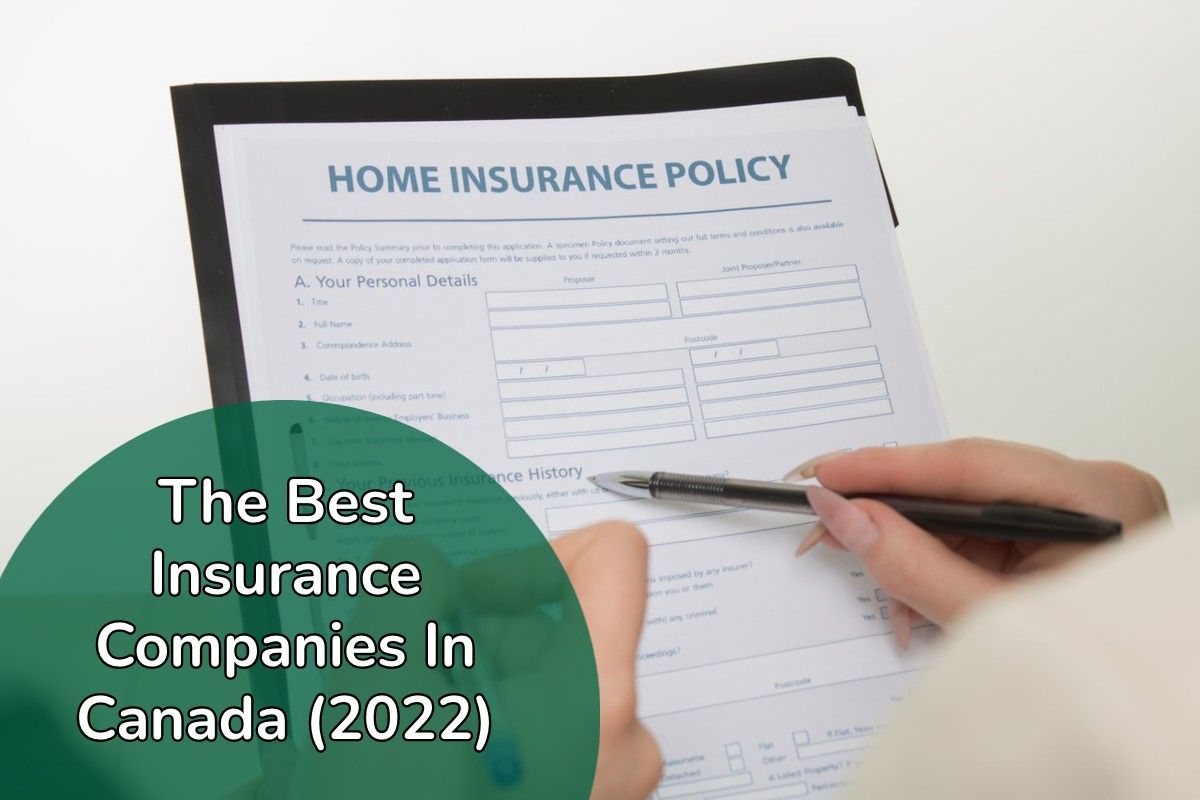 10 Best Insurance Companies in Canada (2022) | Cash Cow Canada