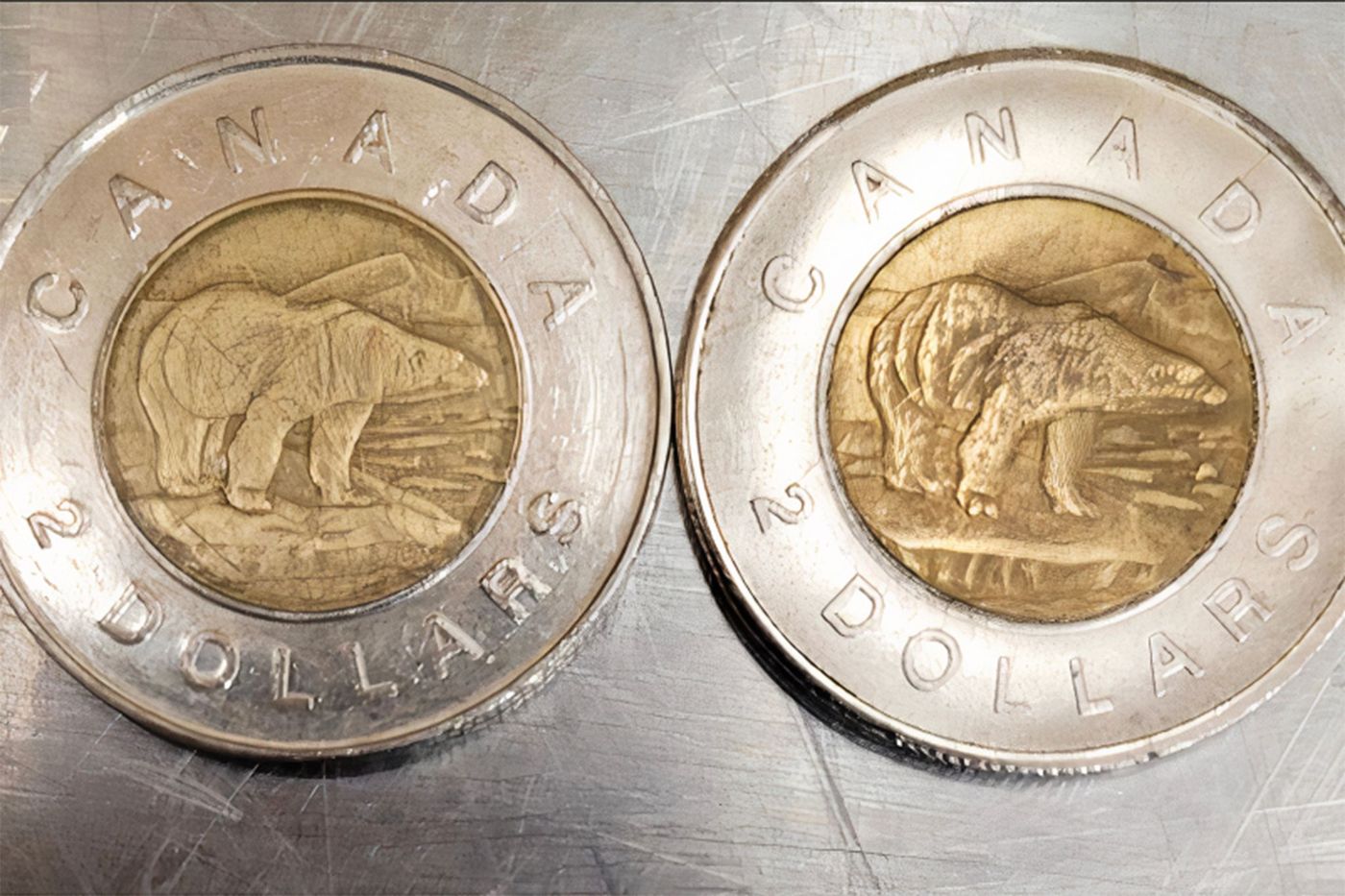 See if you can spot the difference between a real Canadian toonie and a fake