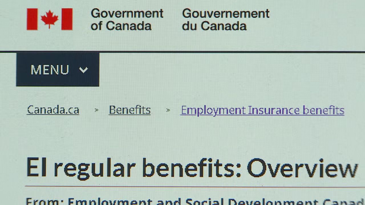 EI changes will mean hard winter for many, says P.E.I. seasonal worker |  CBC News