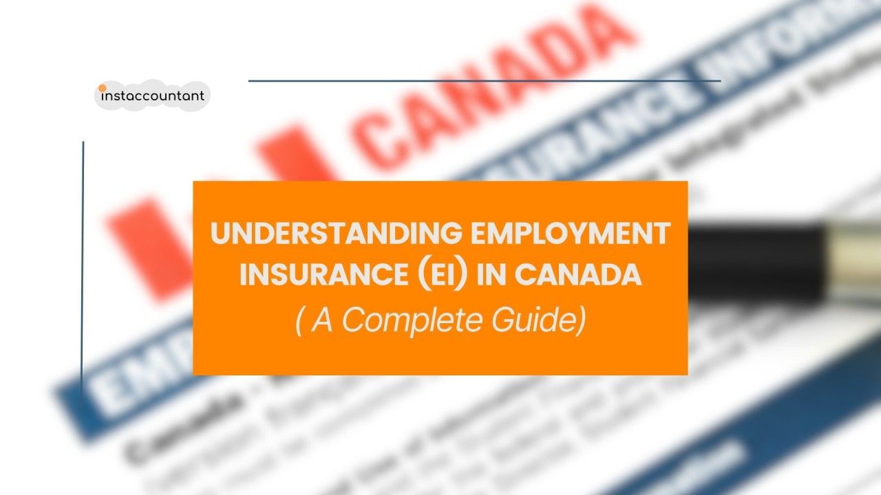 Understanding Employment Insurance (EI) in Canada: A Complete Guide