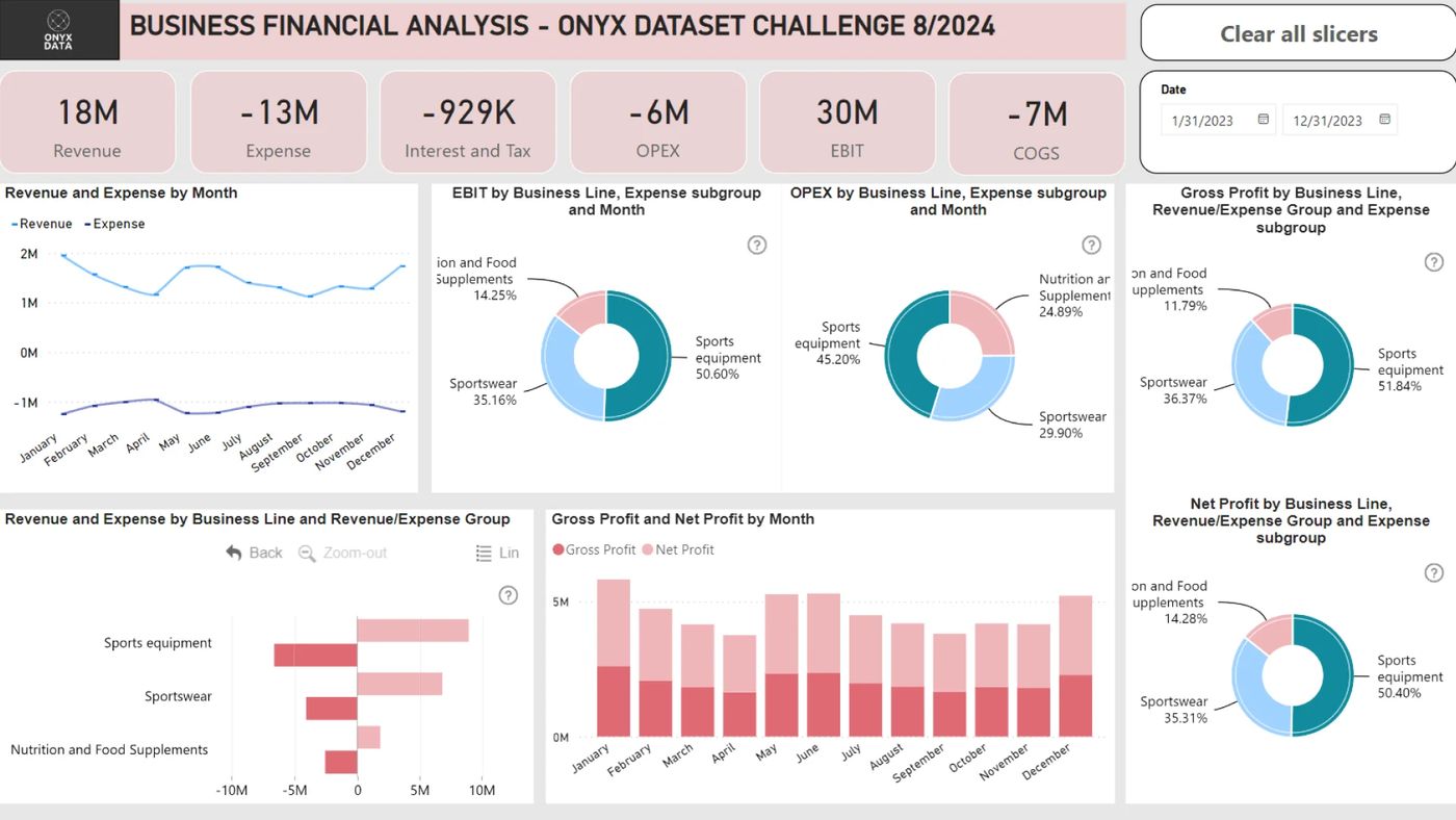 Business Financial Analysis: Onyx Dataset Challenge, August 2024