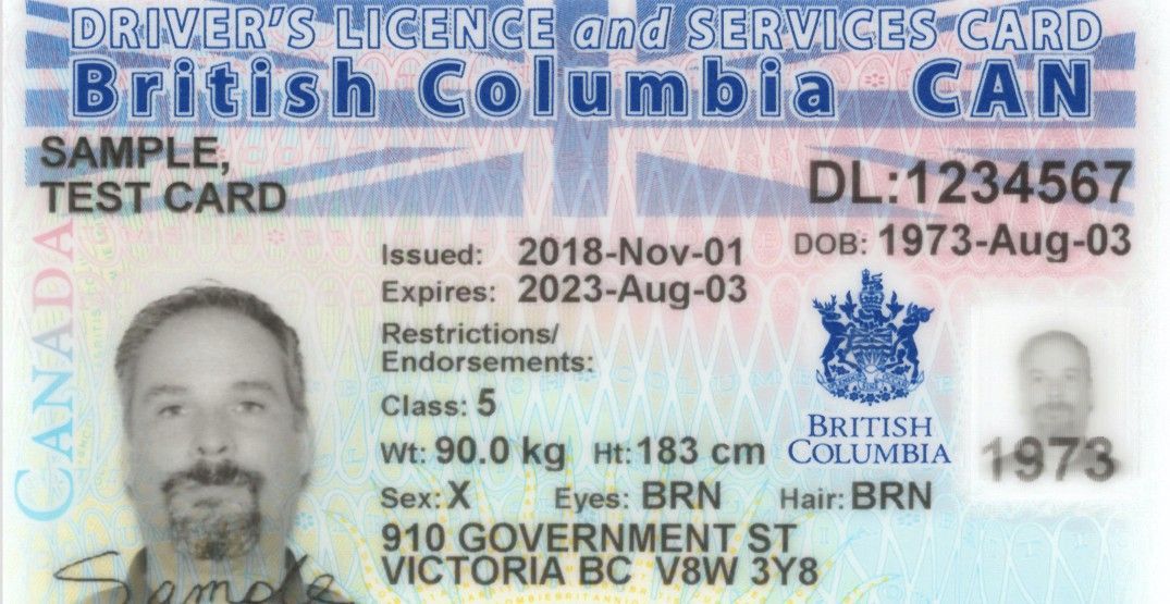 BC is introducing gender neutral government issued ID and health cards |  Daily Hive | News