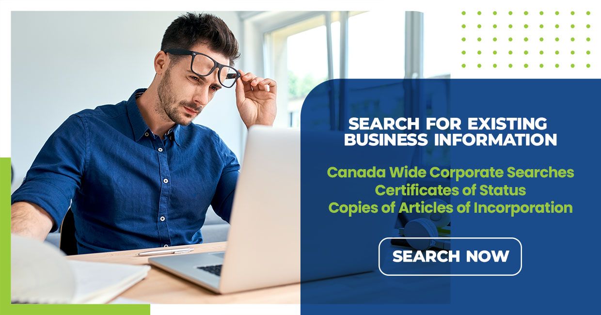 Company License Number: Lookup & Importance Guide
