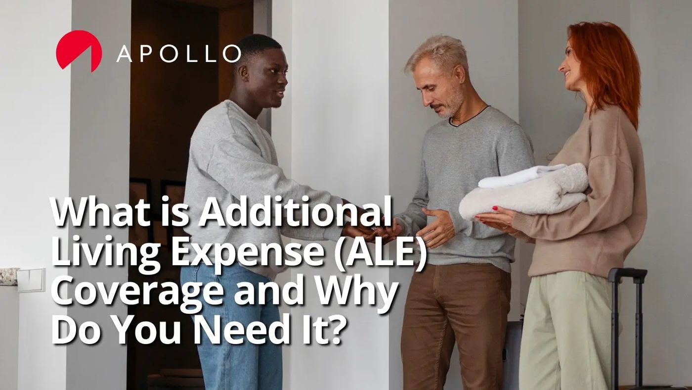 How to Get a Cheap Online Tenant Insurance Quote