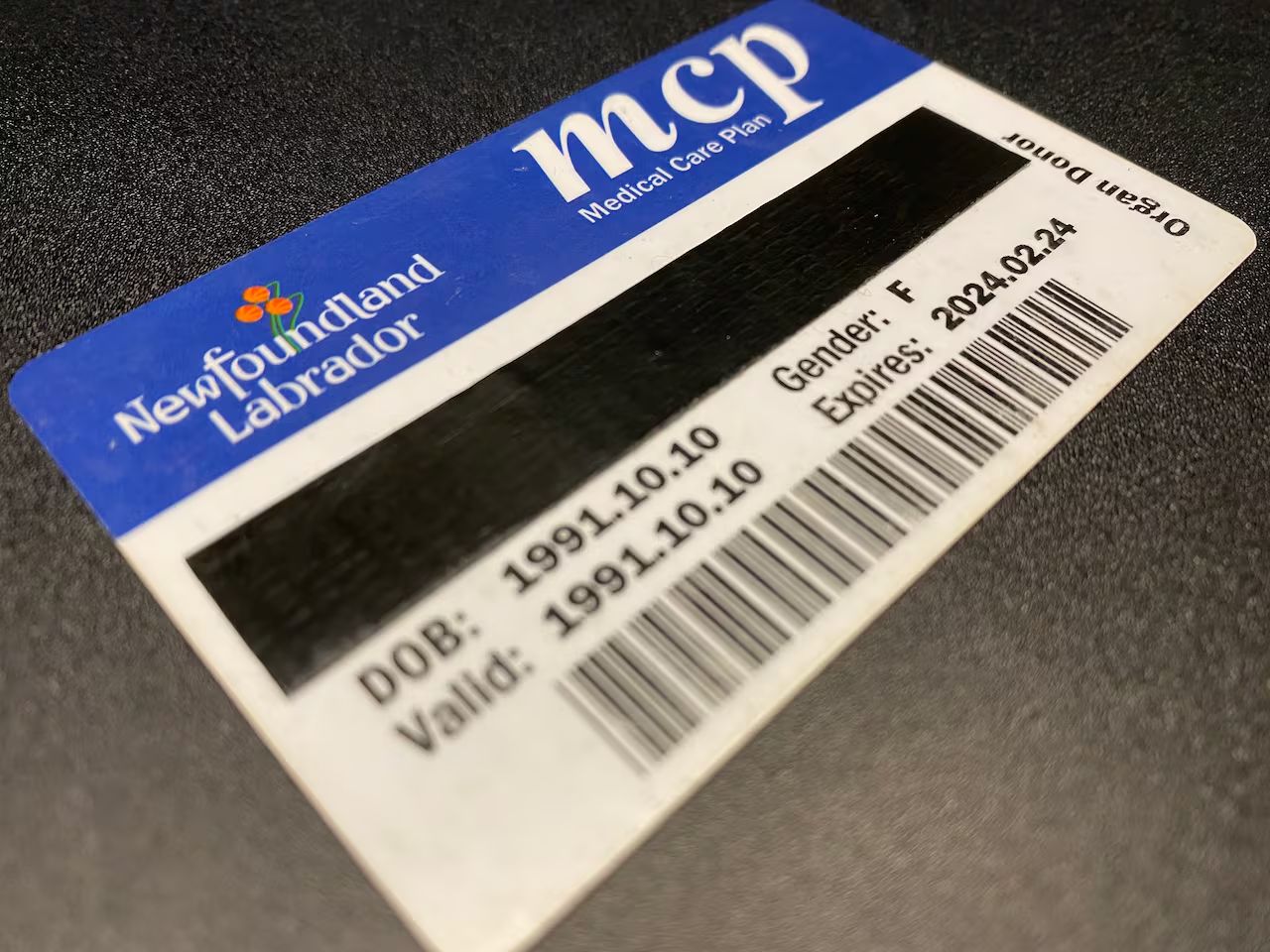 NLMA calls for system upgrade after audit reveals MCP problems | CBC News