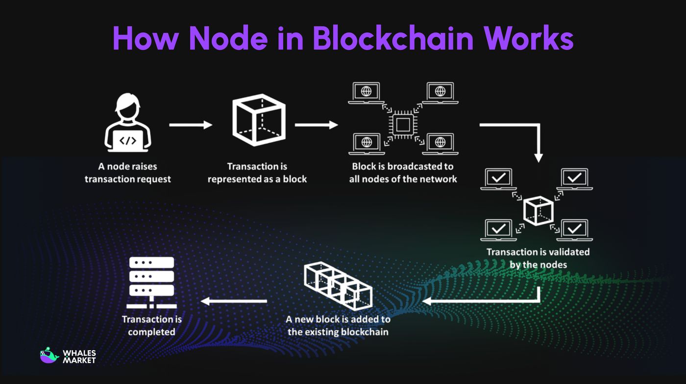 What is a Node in blockchain? How does Blockchain Node work?