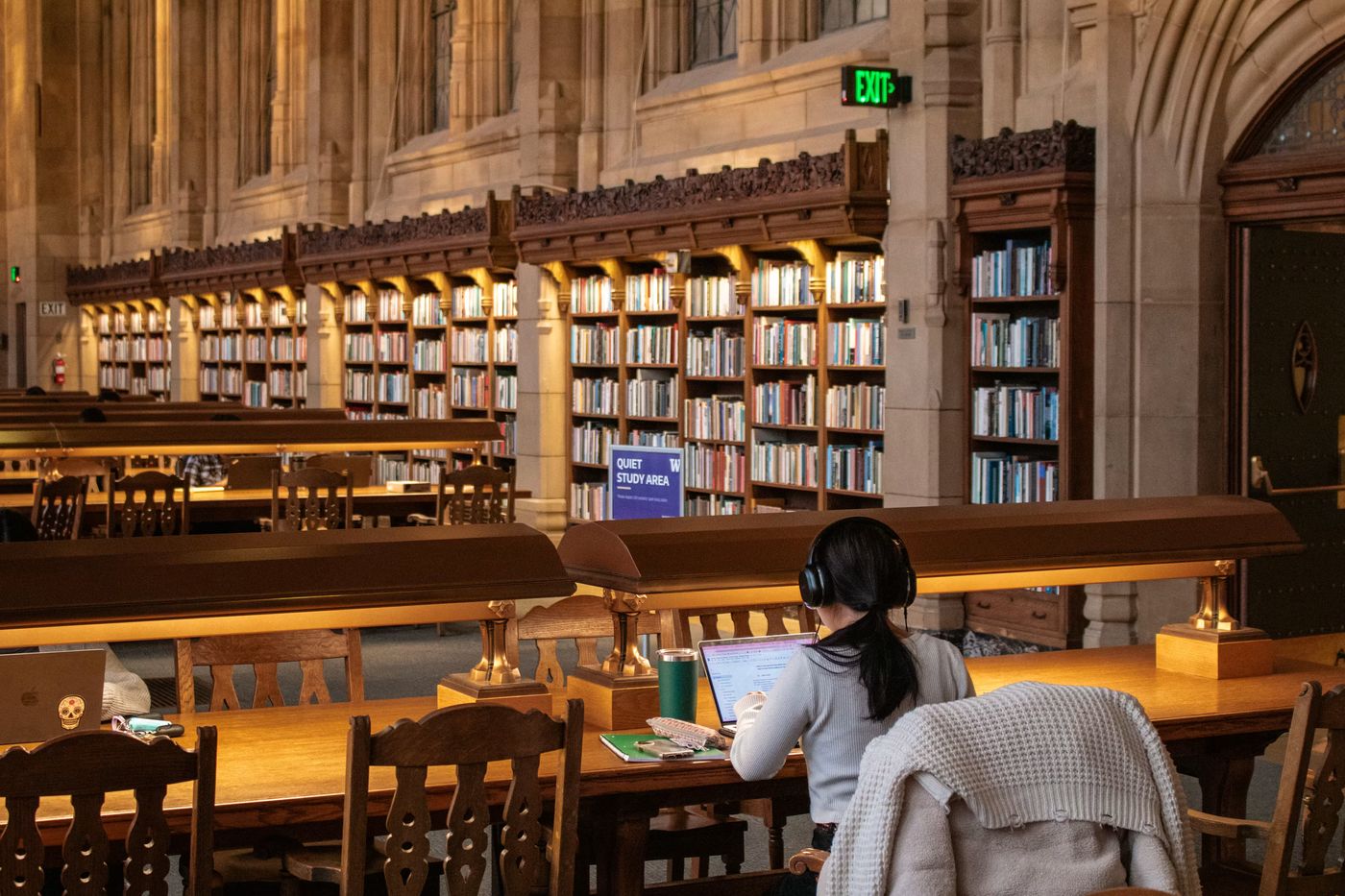 A person is studying in a library, Free Photo on Unsplash