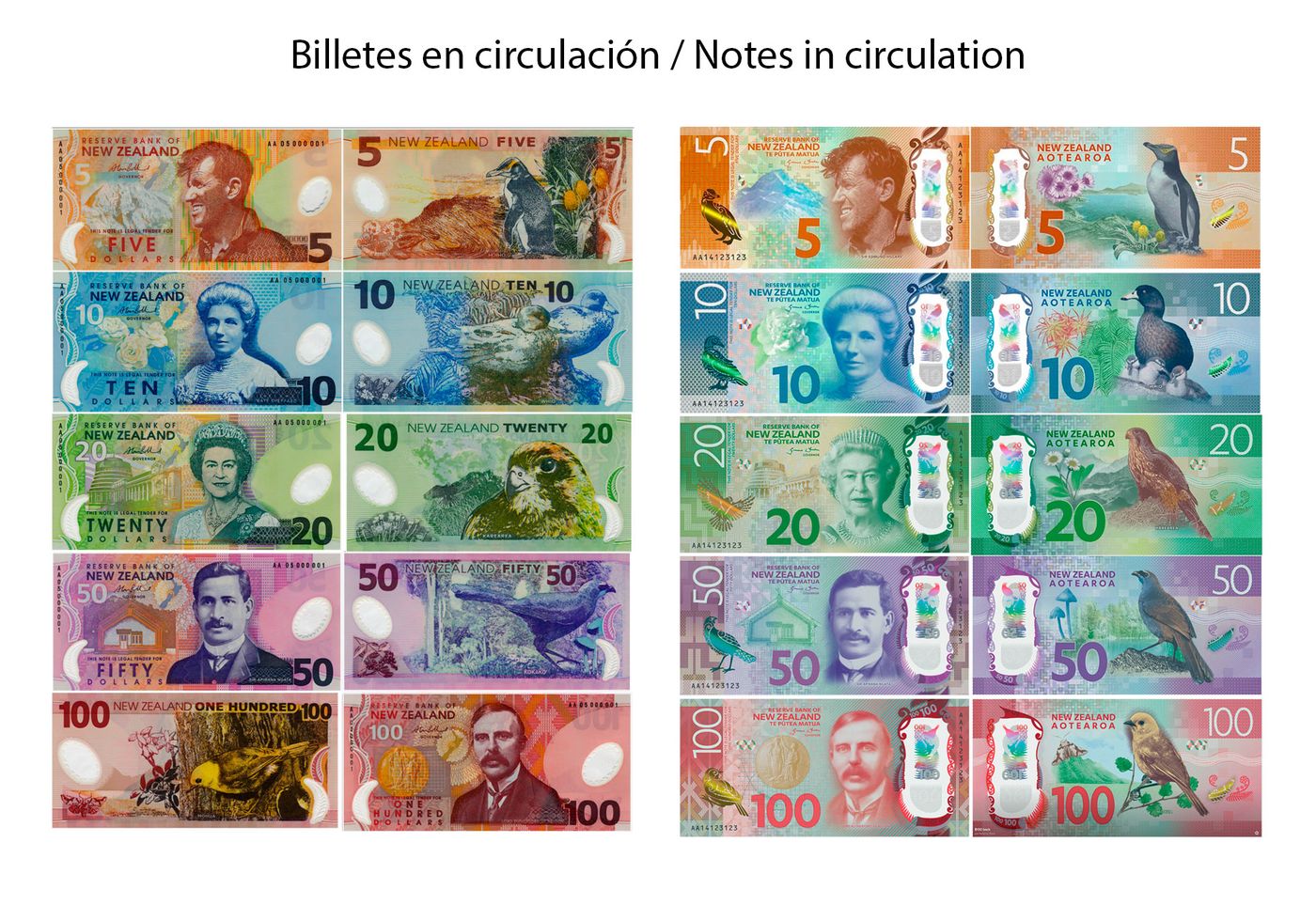 New Zealand dollar (NZD) exchange rate | Eurochange