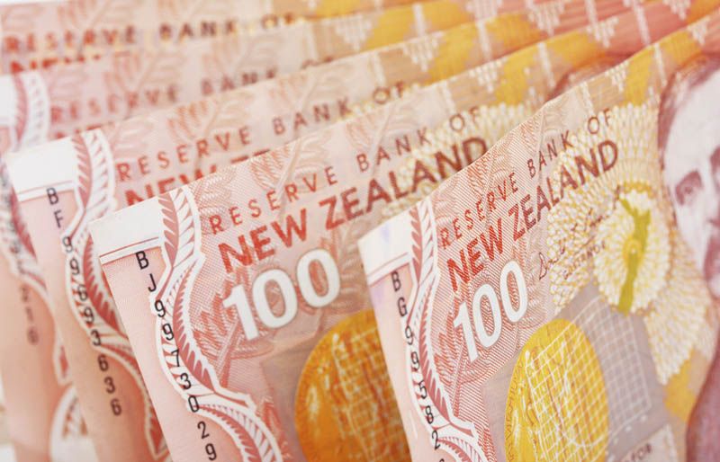 New Zealand Dollar to INR Rate Today | NZD to INR History | Convert NZD to  INR