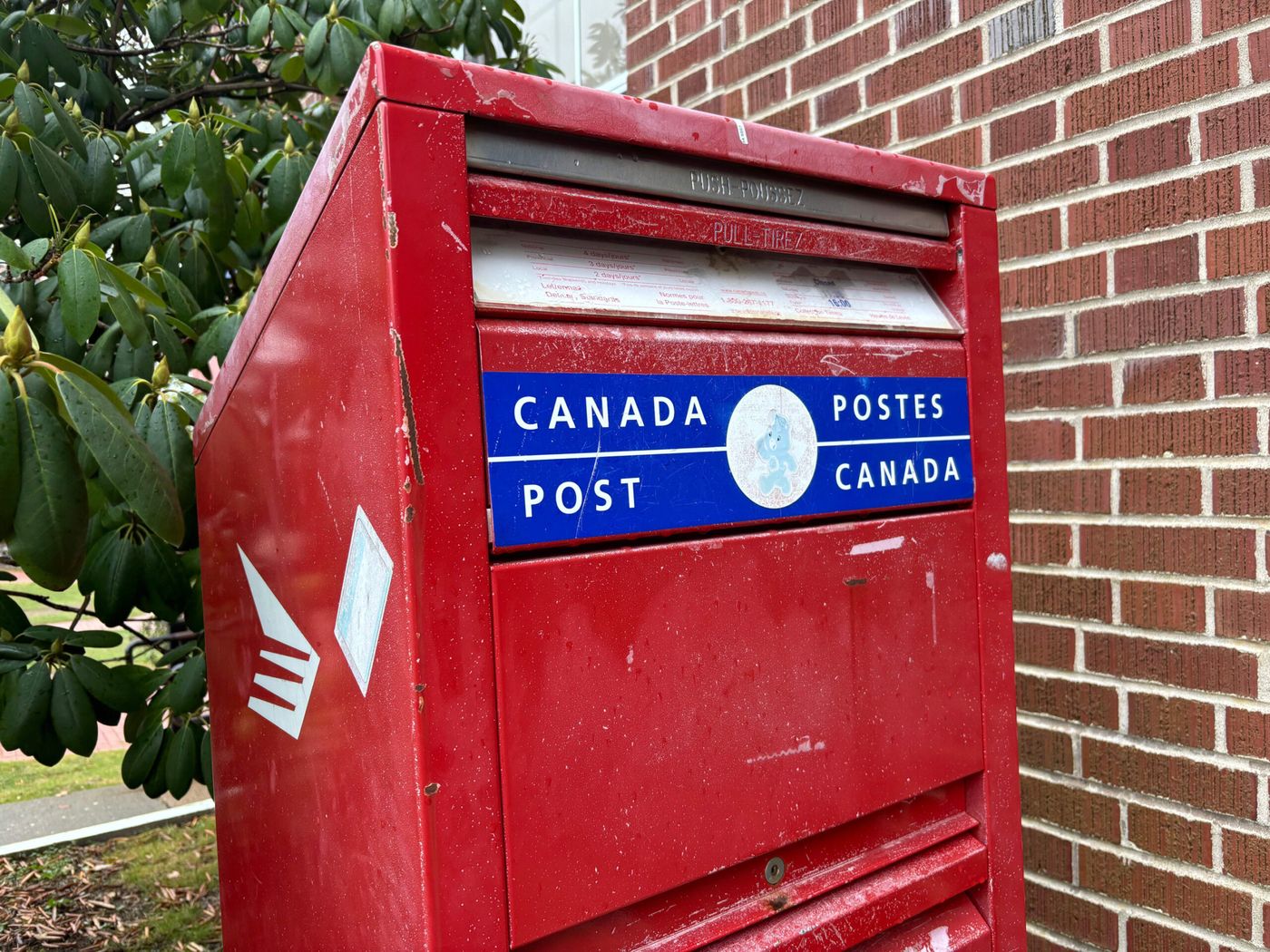 COLUMN: Canada Post is a lifeline for abused seniors, CHCO TV26