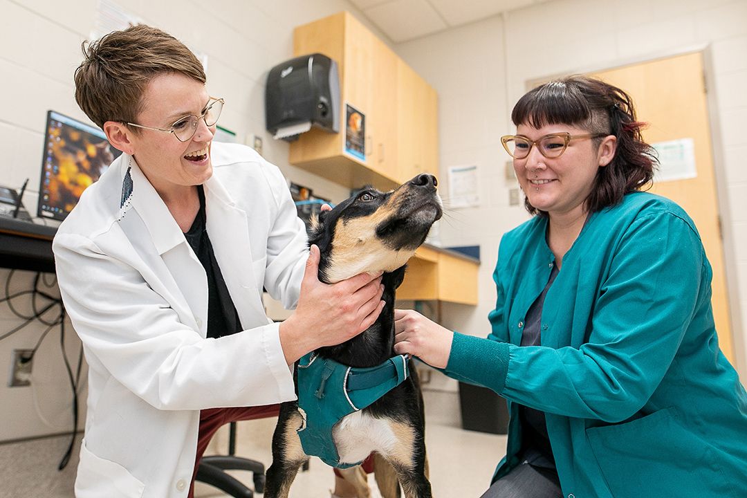 Partnership will expand USask veterinary outreach program's impact, Veterinary Medical Centre, Western College of Veterinary Medicine |  Uni