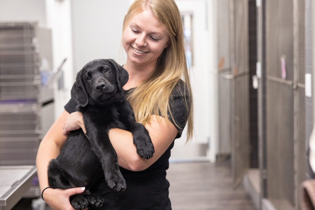 Wellness & Preventative Care | South Okanagan Animal Care Center