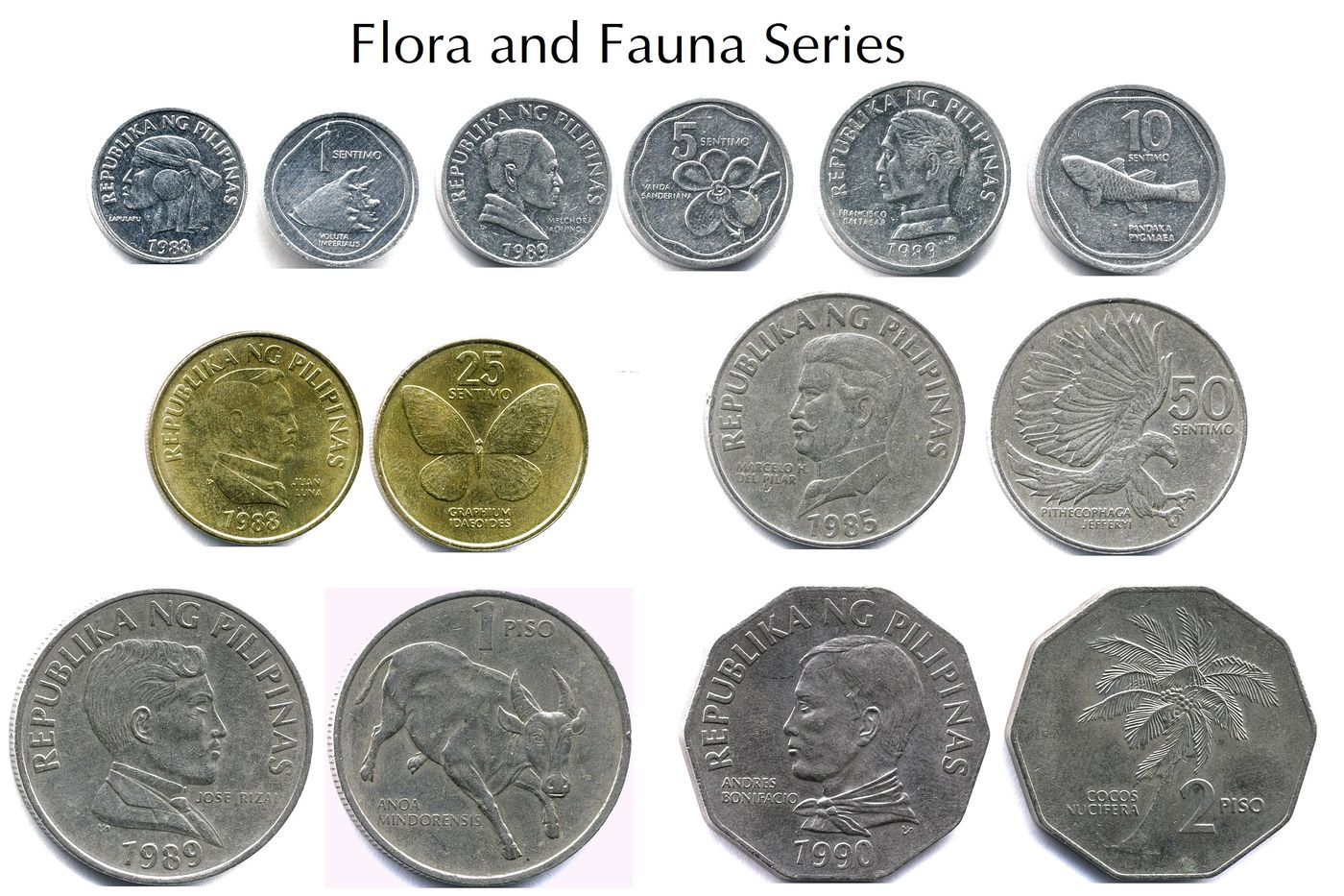 Flora and Fauna Series, Wikipedia