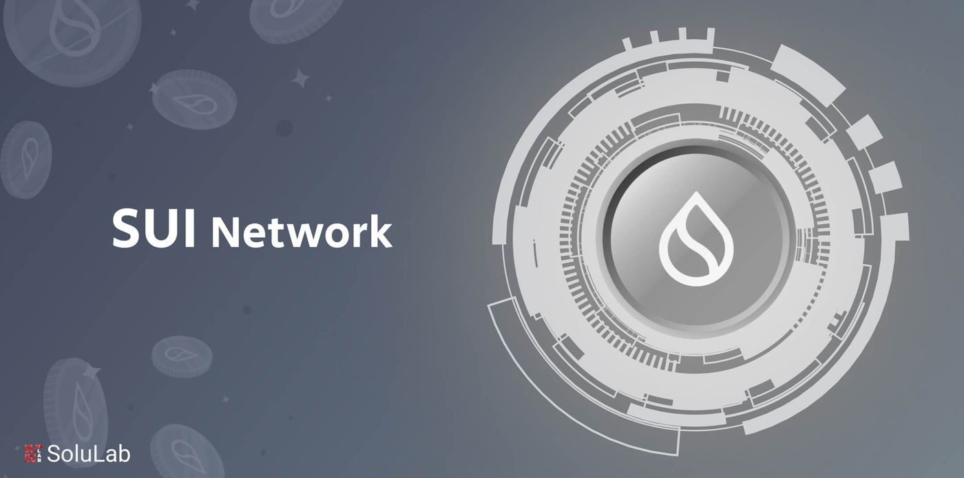 What is the Sui Network?