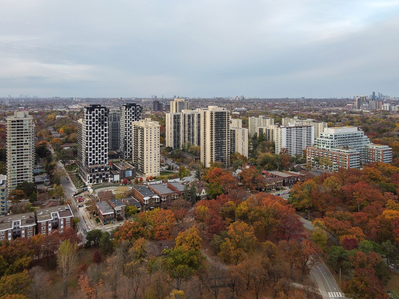 High Park North, Wikipedia