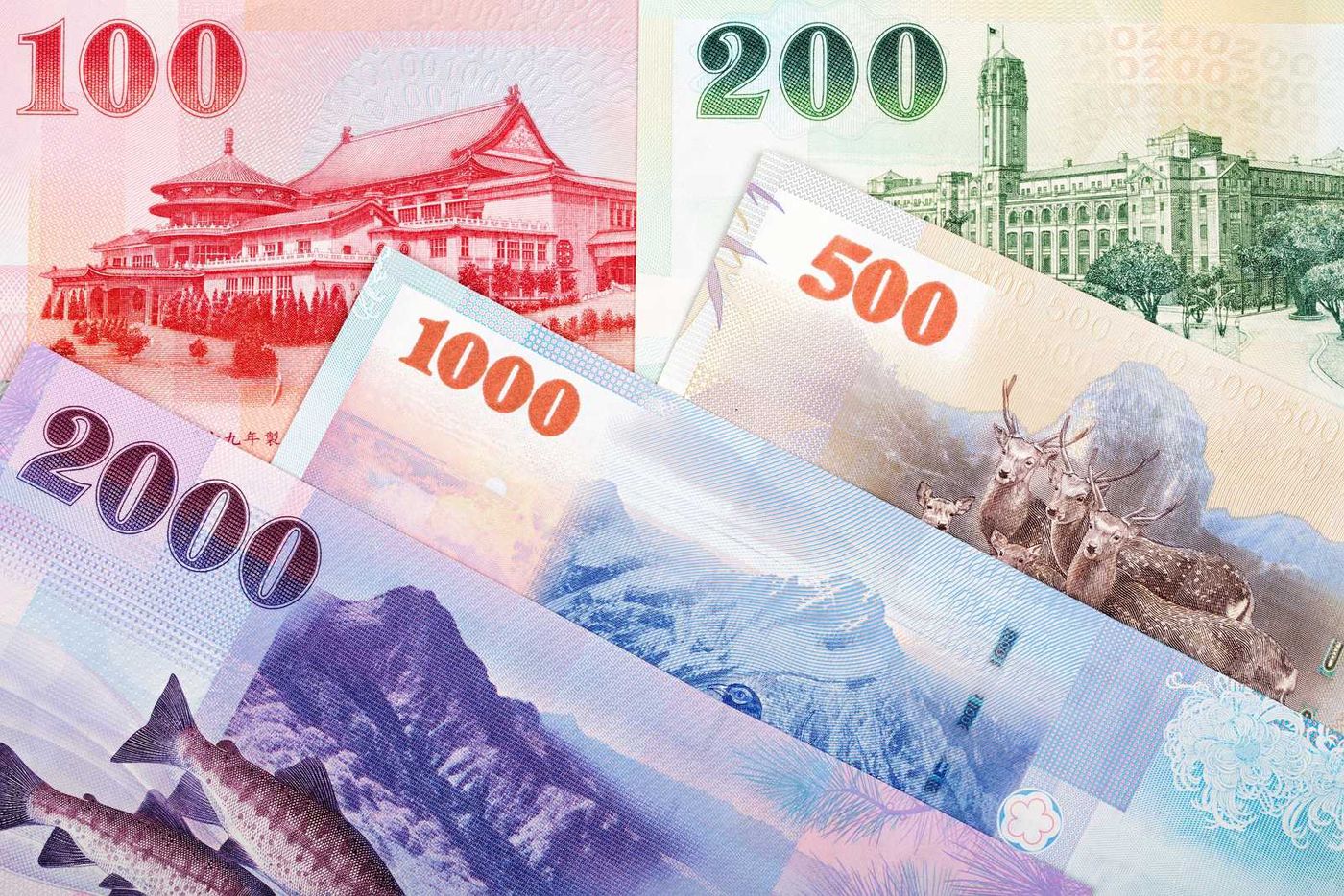 Central Bank pushes forward with Taiwan dollar redesign | Taiwan ...