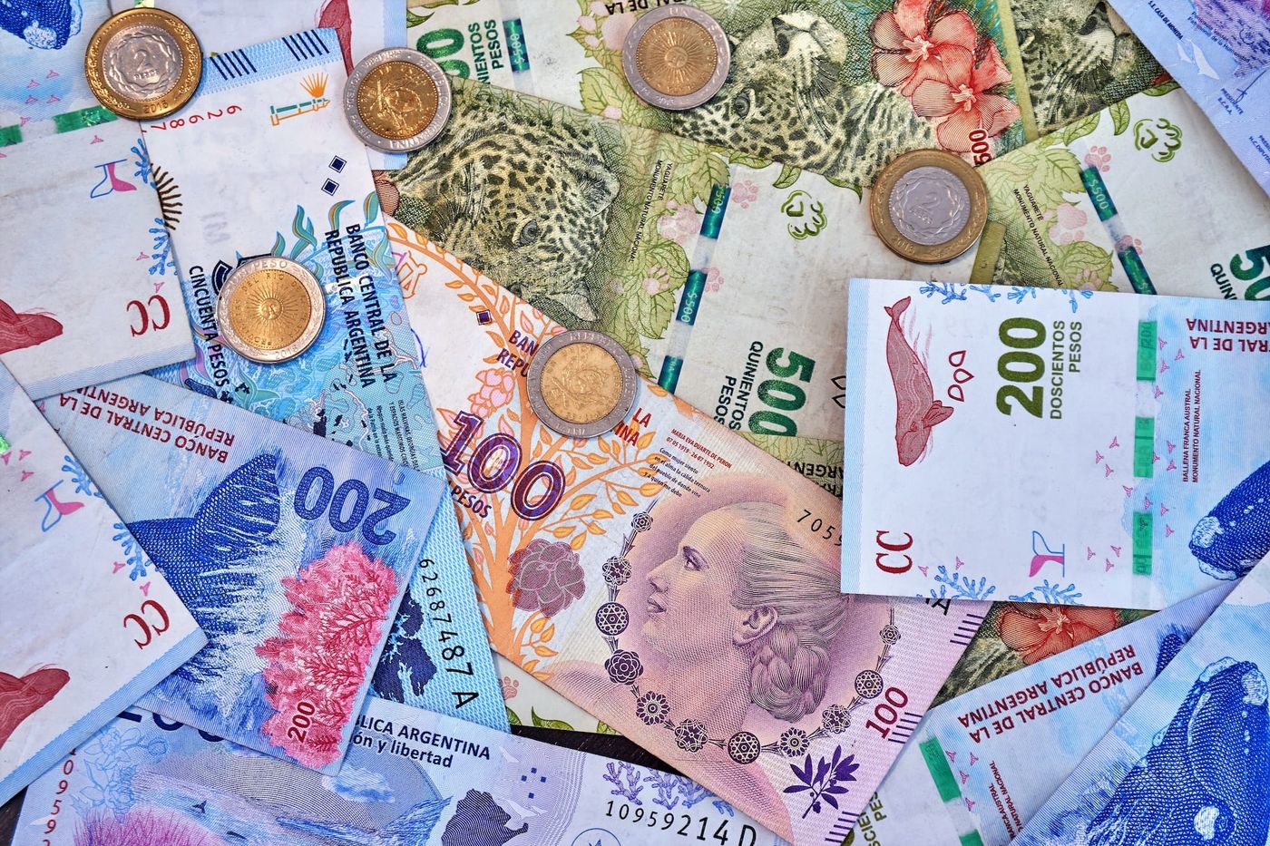 Currency in Argentina [2026] - Exchange rate, tourist dollar, the Dollar  Blue