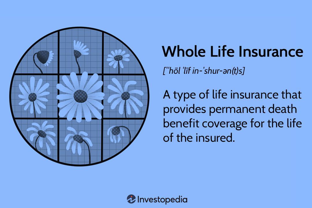 Understanding Whole Life Insurance: Benefits and Costs