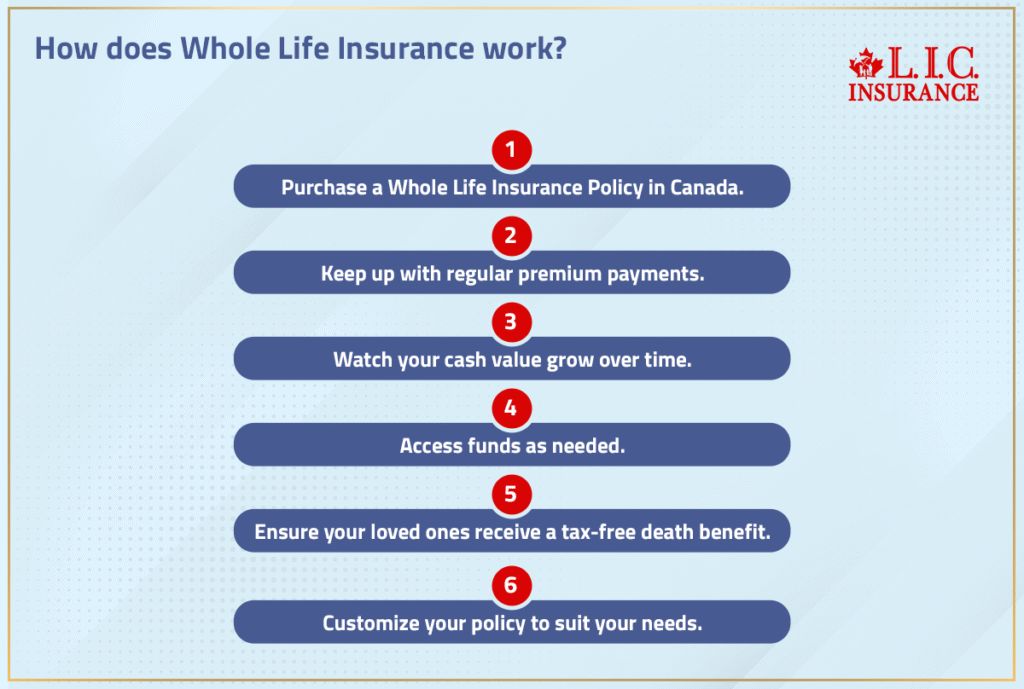 Understanding How Does a Whole Life Insurance Policy Work