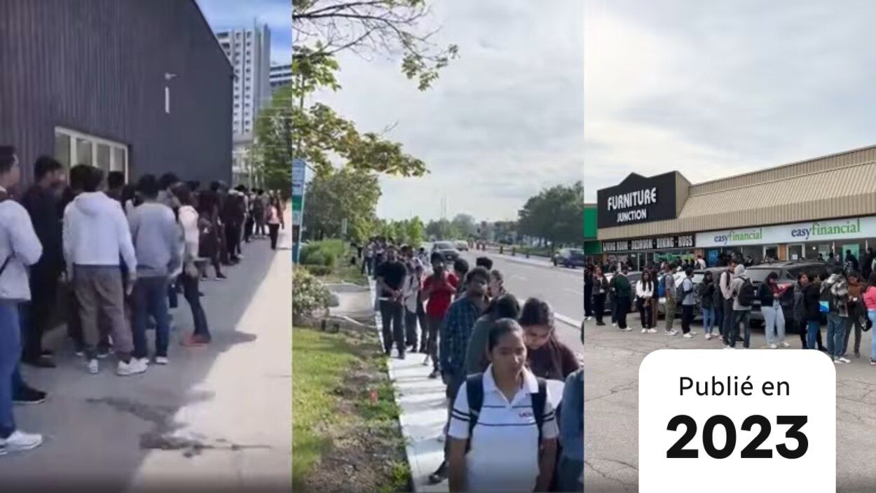 Have you seen viral videos of long lineups of people looking for work?  Here's the possible reason for them | Radio-Canada.ca